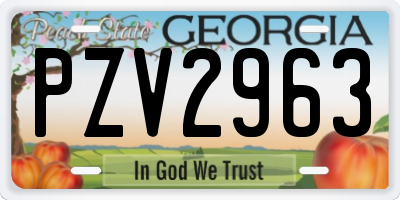 GA license plate PZV2963