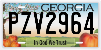 GA license plate PZV2964