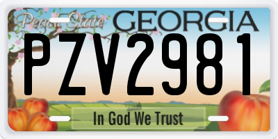 GA license plate PZV2981
