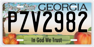 GA license plate PZV2982