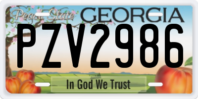 GA license plate PZV2986