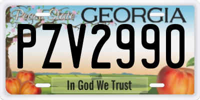 GA license plate PZV2990