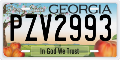 GA license plate PZV2993