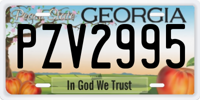 GA license plate PZV2995