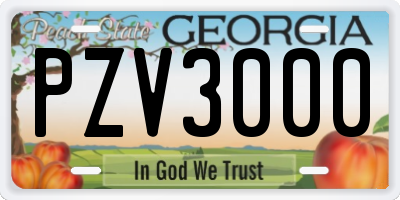 GA license plate PZV3000