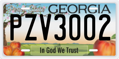 GA license plate PZV3002