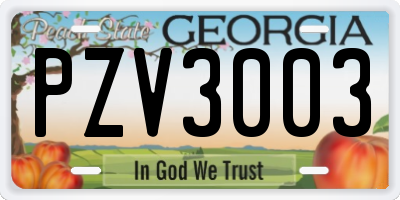 GA license plate PZV3003