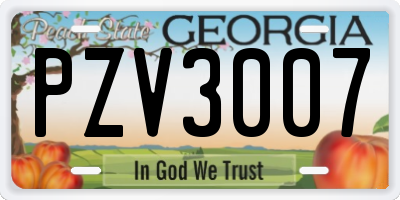 GA license plate PZV3007