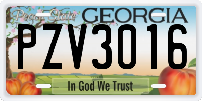GA license plate PZV3016