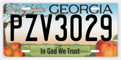 GA license plate PZV3029