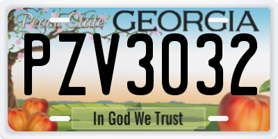 GA license plate PZV3032