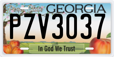 GA license plate PZV3037
