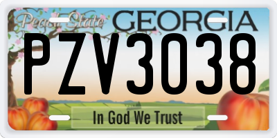 GA license plate PZV3038