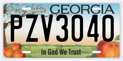 GA license plate PZV3040
