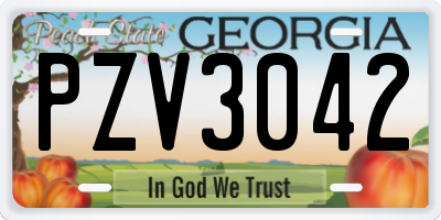 GA license plate PZV3042