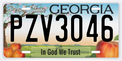 GA license plate PZV3046