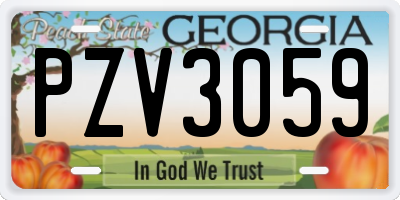 GA license plate PZV3059