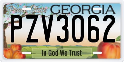 GA license plate PZV3062