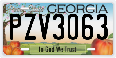 GA license plate PZV3063