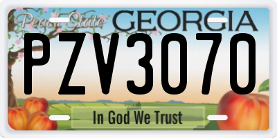 GA license plate PZV3070