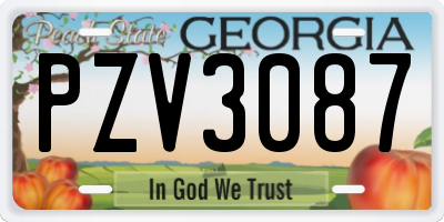 GA license plate PZV3087