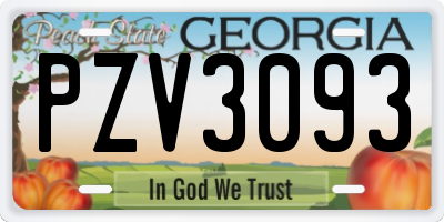 GA license plate PZV3093