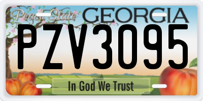 GA license plate PZV3095