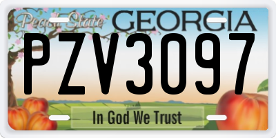 GA license plate PZV3097