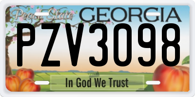 GA license plate PZV3098