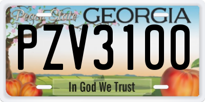 GA license plate PZV3100