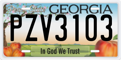 GA license plate PZV3103