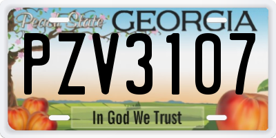 GA license plate PZV3107