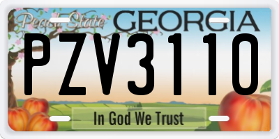 GA license plate PZV3110
