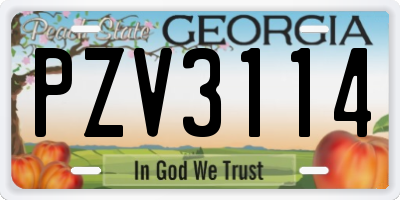 GA license plate PZV3114