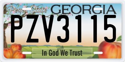GA license plate PZV3115