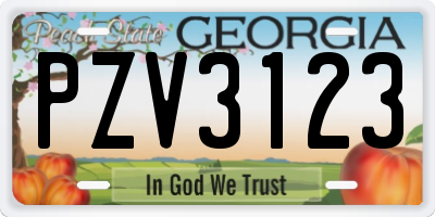 GA license plate PZV3123