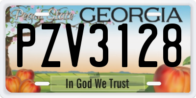 GA license plate PZV3128