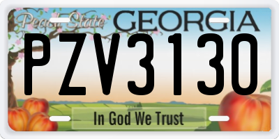GA license plate PZV3130