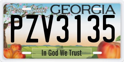 GA license plate PZV3135