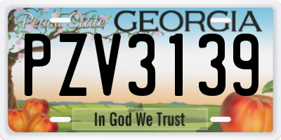 GA license plate PZV3139