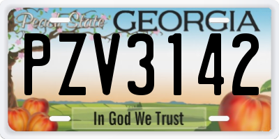 GA license plate PZV3142