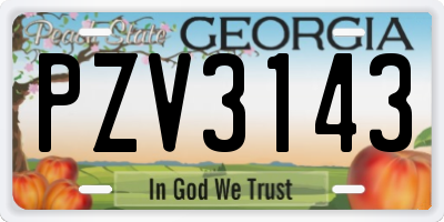GA license plate PZV3143