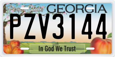 GA license plate PZV3144