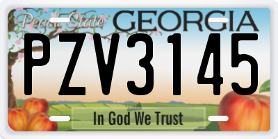 GA license plate PZV3145