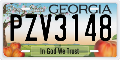 GA license plate PZV3148