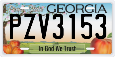 GA license plate PZV3153