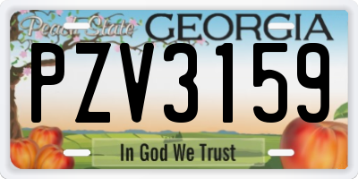 GA license plate PZV3159