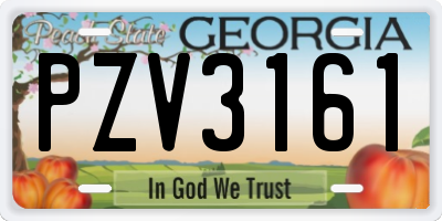 GA license plate PZV3161