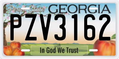 GA license plate PZV3162
