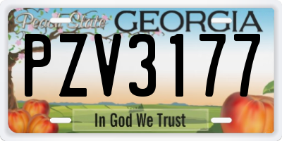 GA license plate PZV3177